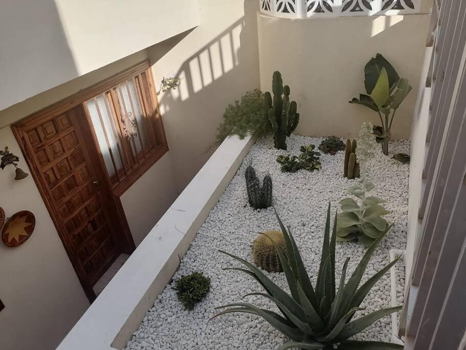 Casa Las Pencas De Margarita 洛斯雷尔雷赫斯 外观 照片